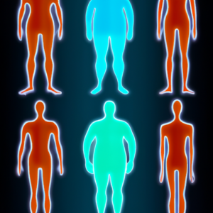 A silhouette of a human body with different shapes and sizes highlighted in different colors.